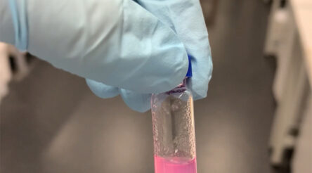 Image for UNSW experts create new hydrogel with promise in biomedical research