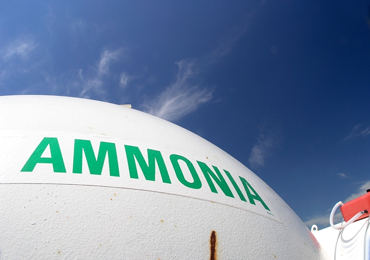 210120_ammonia_3