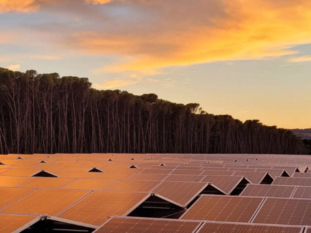 Australia can successfully manufacture for solar PV industry, says new report