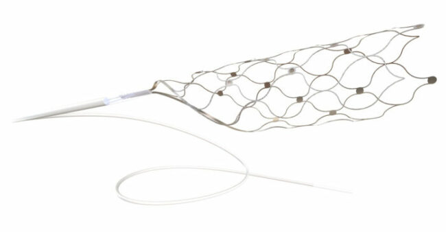The Stentrode™ Endovascular Electrode Array Photo- Synchron