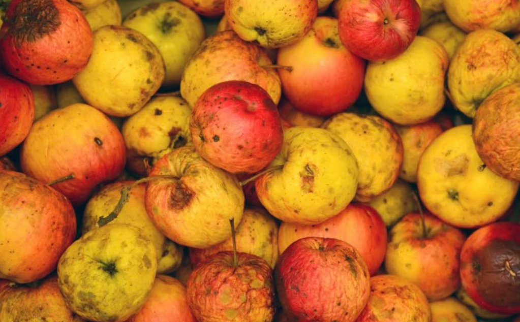 Pair plan pectin production from food waste