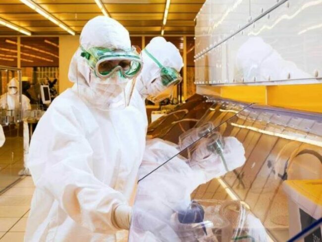 Capture-3-1200×900-c-default (2)