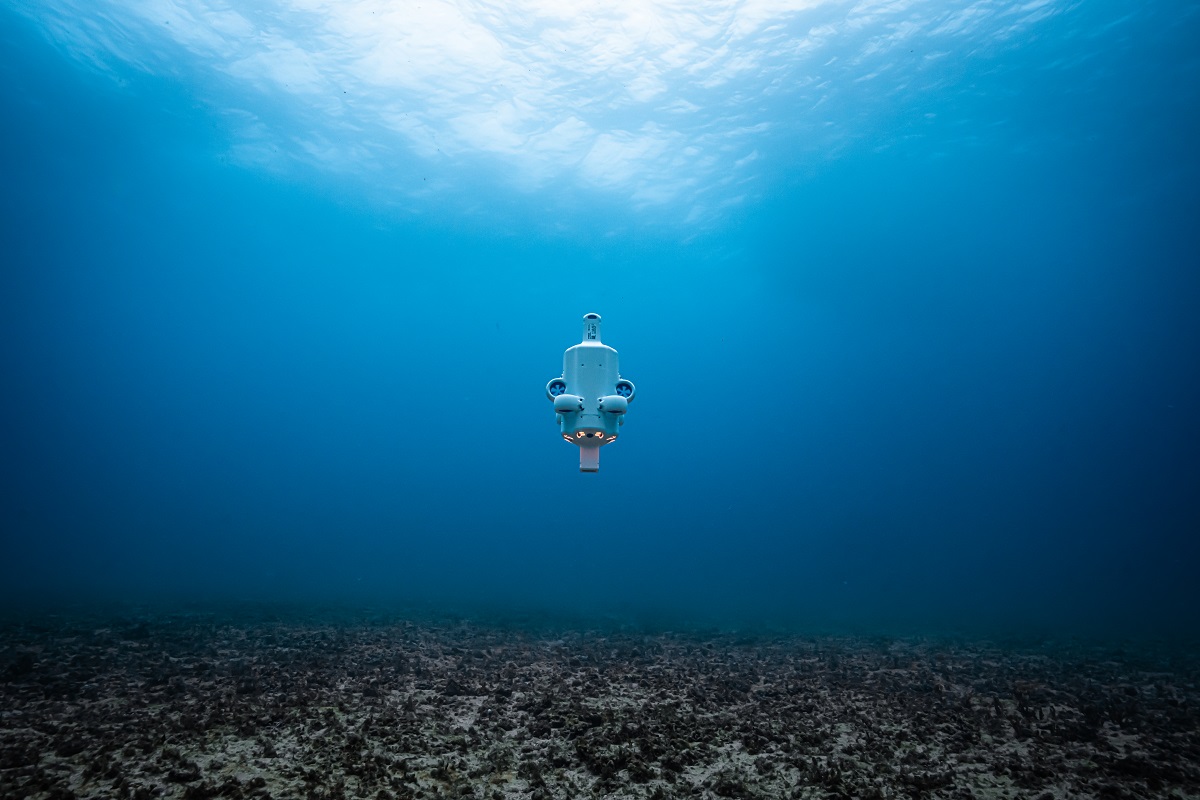Hydrus-above-reef-1