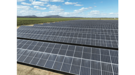 Image for Casella wines goes solar at Yenda facility