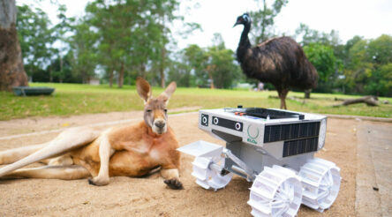 Image for Rovers on a roll for Australian Made Week
