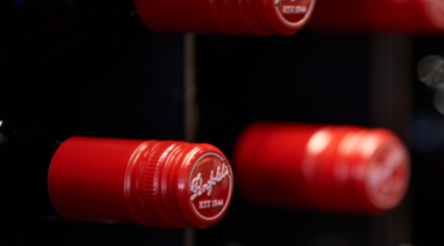 Image for Treasury Wine forecasts margin rise as China market reopens