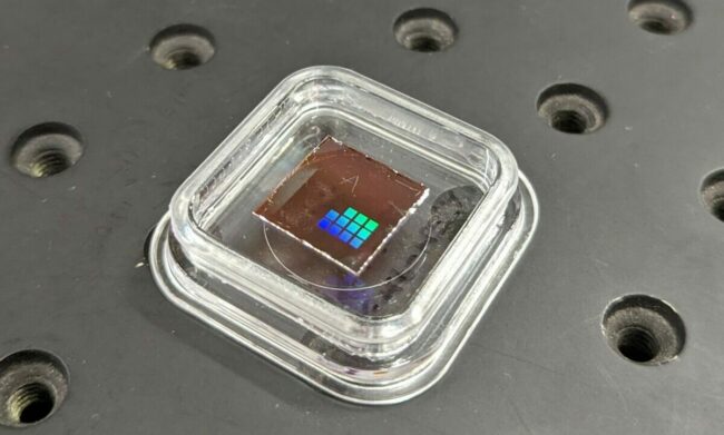 PXL_20240529_043825604~2