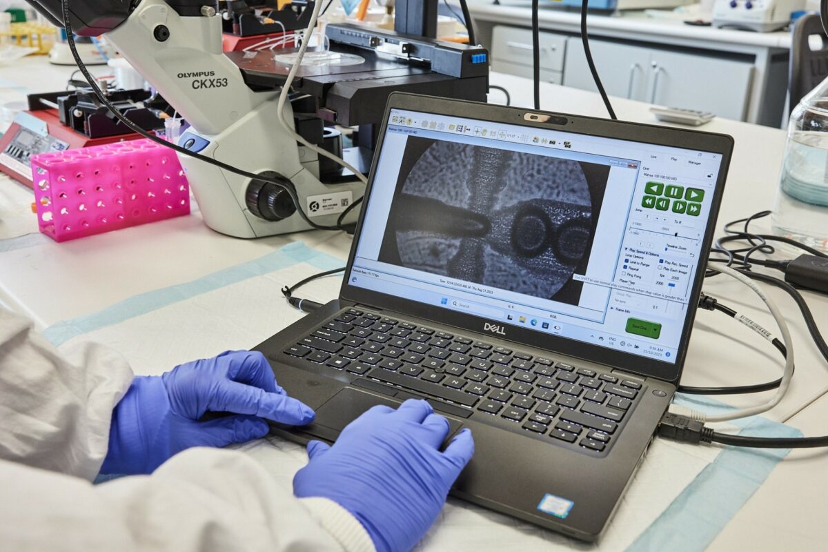 microgelmanufacture