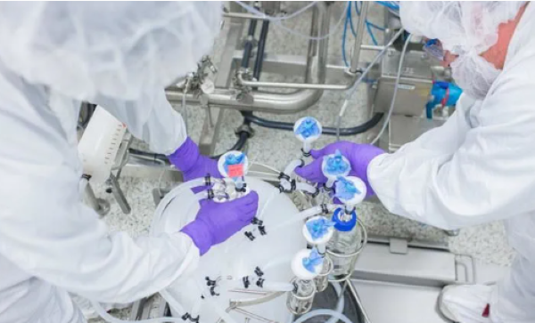 Screenshot 2024-09-15 094338