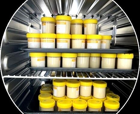Food scientists create 