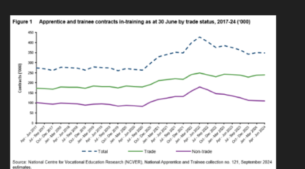 Image for Trade apprenticeships on the up