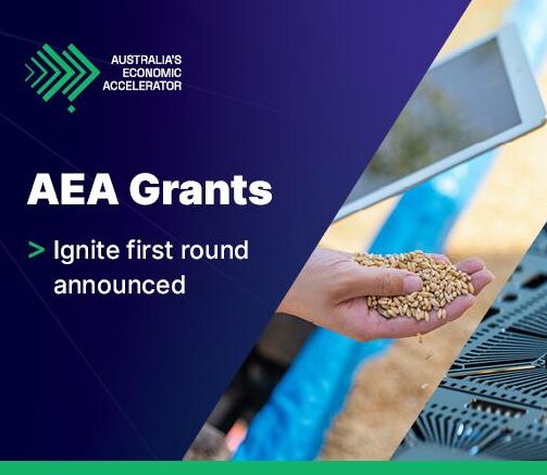 Australian universities receive $59m in AEA Ignite grants for research