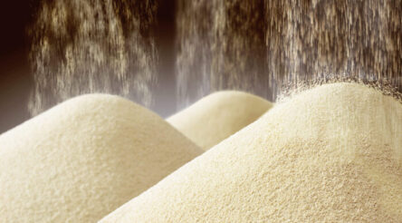 Image for MicroBioGen, Lesaffre announce exclusive worldwide licensing and collaboration deal on industrial yeast technology