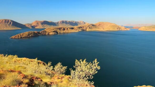 file-20250623-56-g2dk8c