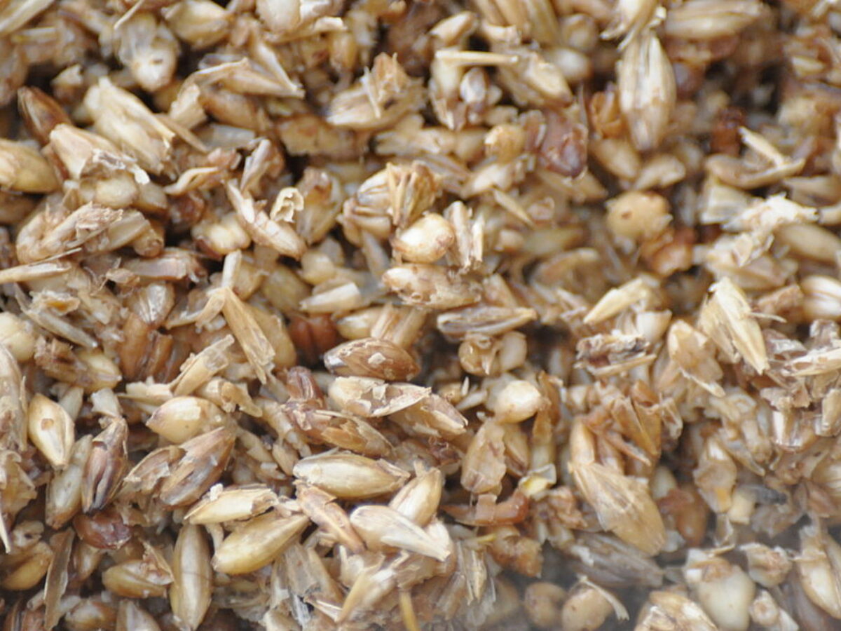 1024px-Spent_grain-1200×900-c-default