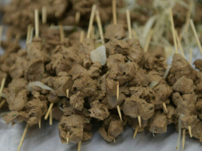 HarvestB_launch_DSC3092-scaled-e1674729488885-1200×900-c-default-1200×900-c-default