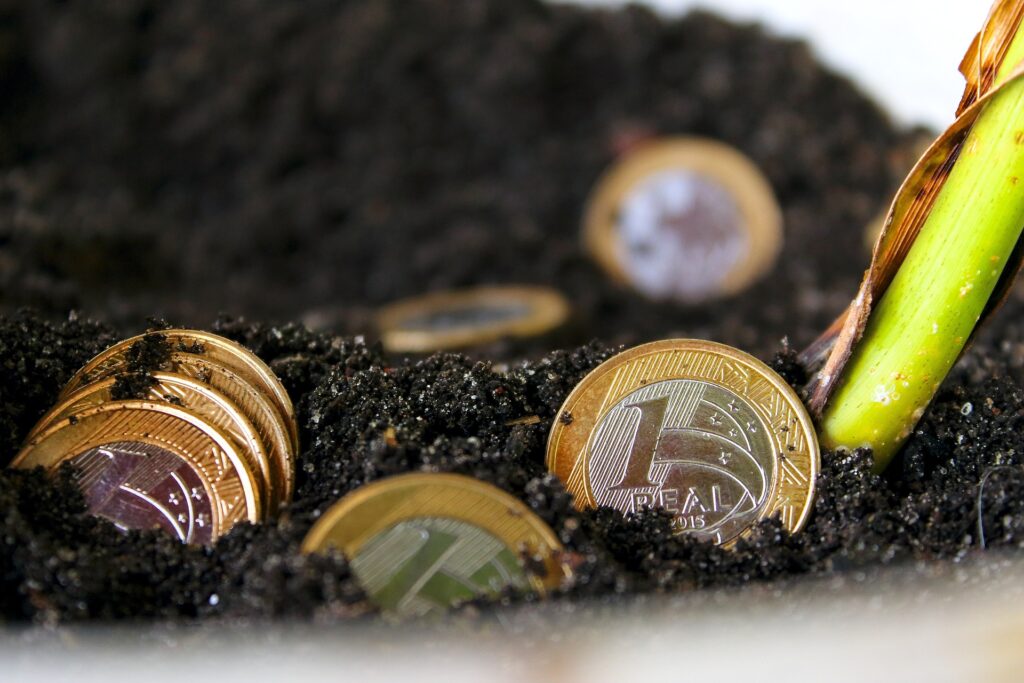 Sorry! Image not available at this time